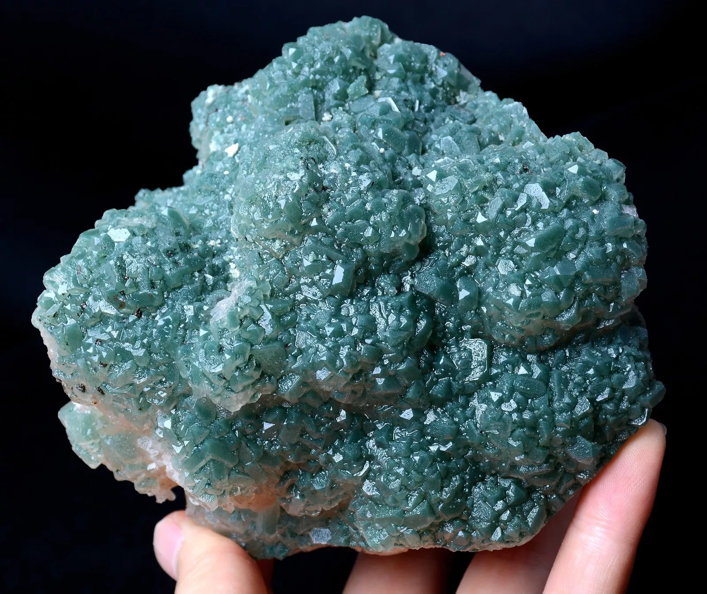 902g Newly Discovered Green Apophyllite CRYSTAL CLUSTER Mineral  Specimen