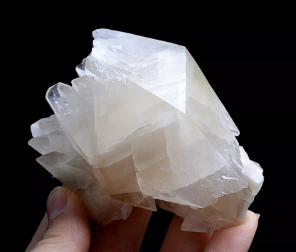 212.0g Natural Complete White Calcite “Angel Wings” Crystal Mineral Specimen