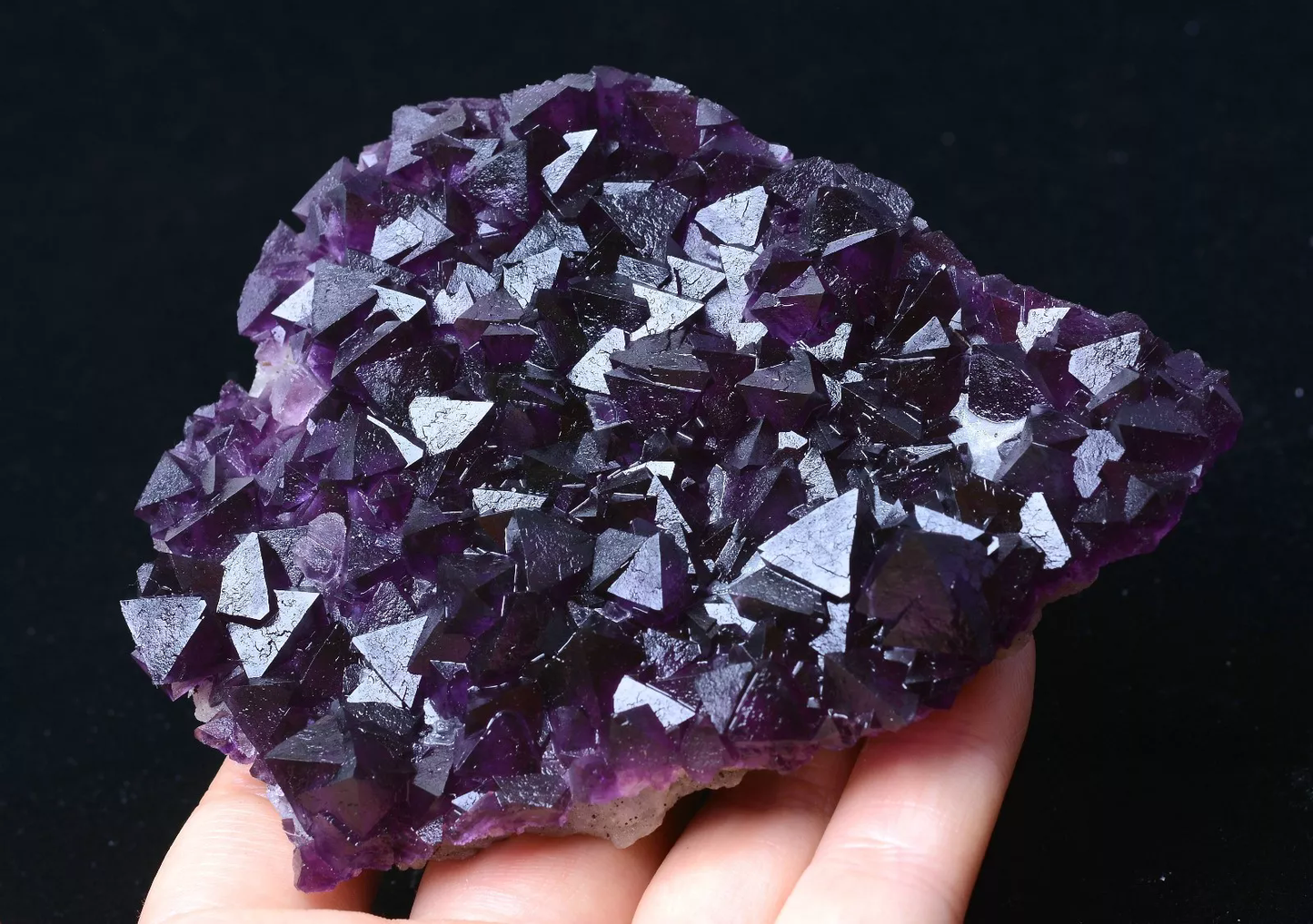 219.19g MUSEUM COLLECTION NEWLY DISCOVERED RARE PURPLE FLUORITE MINERAL SAMPLES