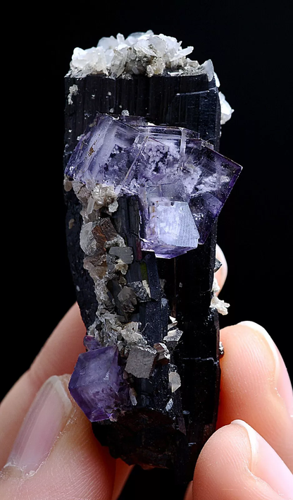 39gNatural Purple Fluorite Wolframite Arsenopyrite Mineral Specimen/Yaogangxian