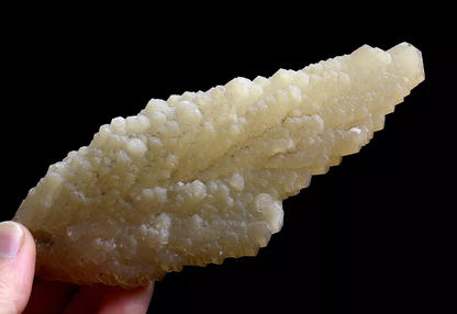 247g Natural Complete “Angel Wings” Yellow Calcite Mineral Specimen/ China