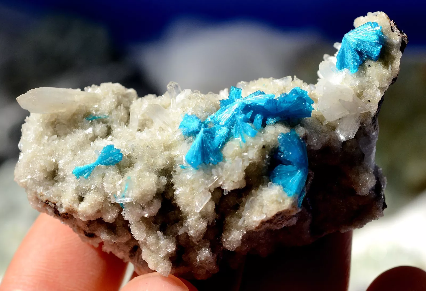 36g Natural CAVANSITE & ZEOLITE Crystal Symbiotic Mineral Specimen/ India