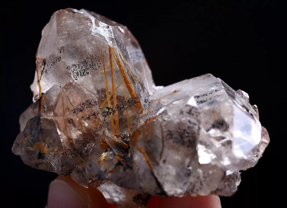 58gNatural Transparent Gold Rutilated Skeletal Quartz Crystal Mineral Specimens