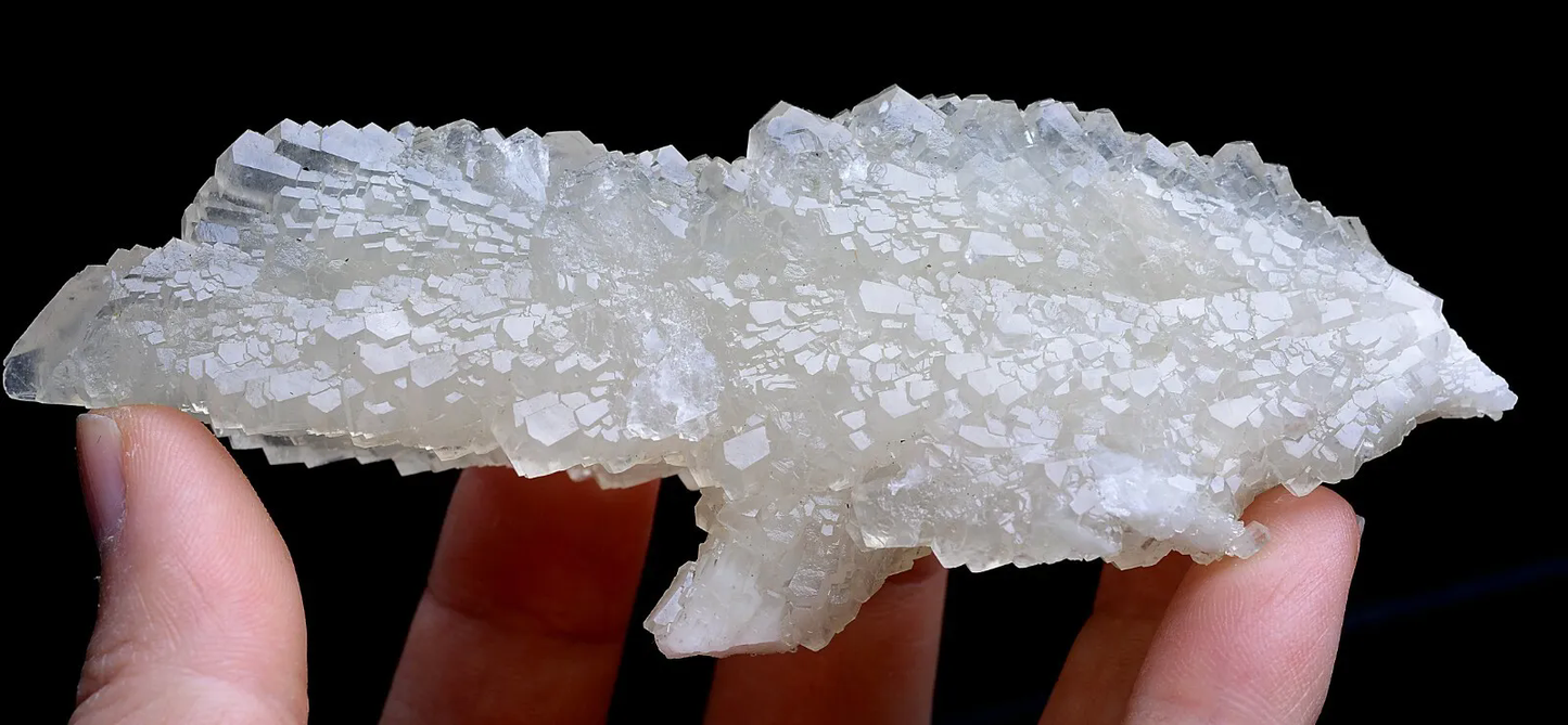 104.6g Natural Complete White Calcite “Angel Wings” Crystal Mineral  Specimen