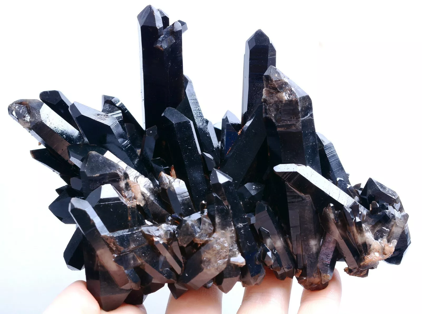 554g Natural Rare Smoky & Black QUARTZ Crystal Cluster Mineral Specimen