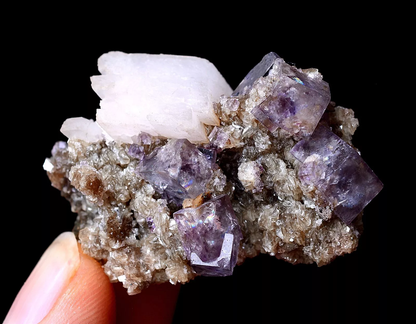 17.07g RARE! NATURAL PURPLE CUBIC FLUORITE & CALCITE SYMBIOTIC MINERAL SPECIMEN