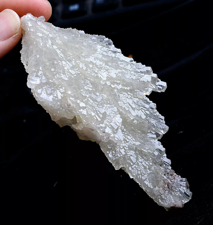 108g Natural Complete “Angel Wings” White Calcite Mineral Specimen/China