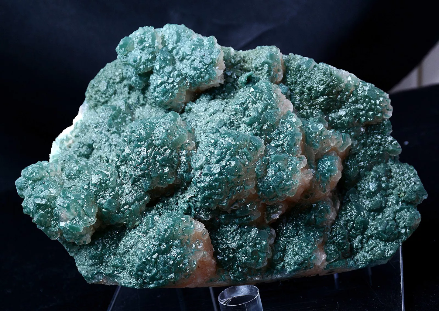 1821g Newly Discovered Green Apophyllite CRYSTAL CLUSTER Mineral Specimen