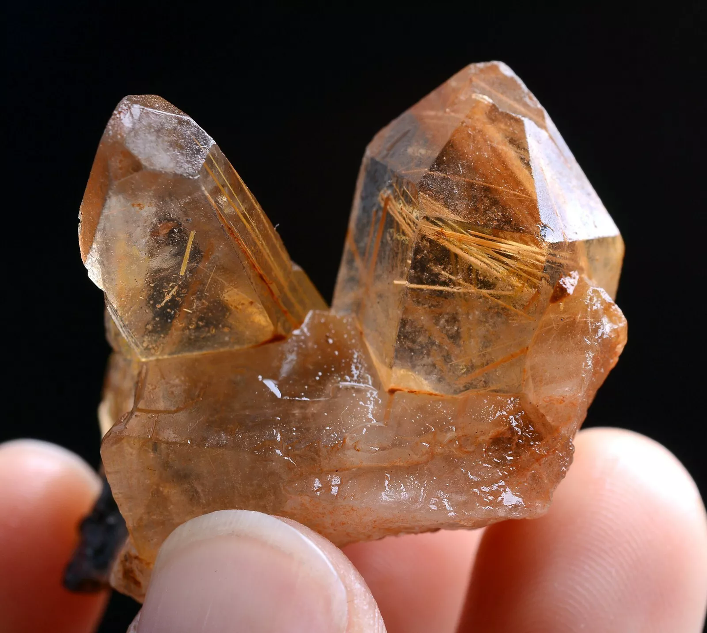 24gNatural Transparent Gold Rutilated Skeletal Quartz Crystal Mineral Specimens