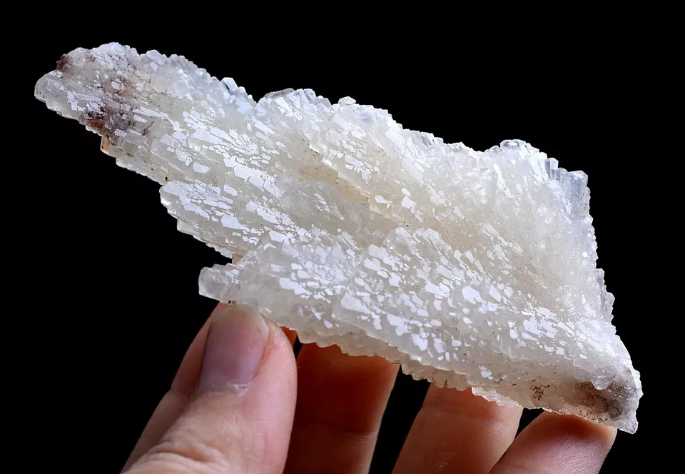 108g Natural Complete “Angel Wings” White Calcite Mineral Specimen/China