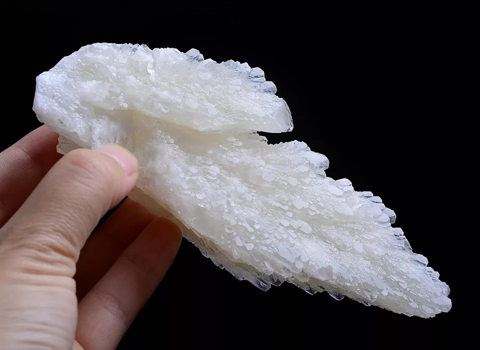 284g Natural Complete “Angel Wings” White Calcite Mineral Specimen/China