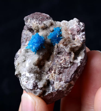 42.5g Natural CAVANSITE & ZEOLITE Crystal Symbiotic Mineral Specimen/India