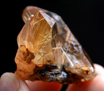 24gNatural Transparent Gold Rutilated Skeletal Quartz Crystal Mineral Specimens