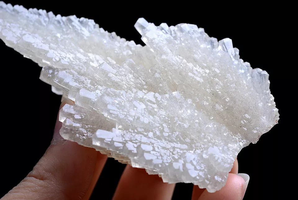 110gNatural Complete “Angel Wings” White Calcite Crystal Mineral Specimen/China