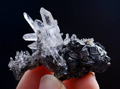 30g Natura Arsenopyrite & Crystal Cluster Mineral Specimen/Yaogangxian China