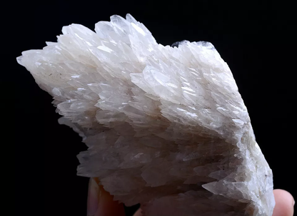 257g Natural Complete “Angel Wings” White Calcite Mineral Specimen/China