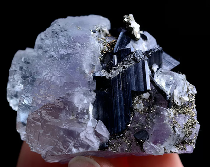 80gNatura Purple FLUORITE Wolframite &Pyrite Mineral Specimen/Yaogangxian China