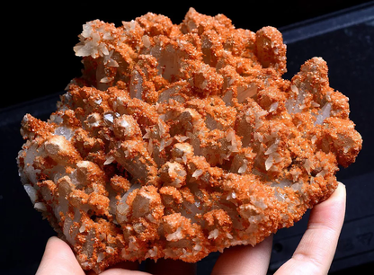 667gNatural New Varieties Rootless Red CRYSTAL CLUSTER Calcite Mineral  Specimen