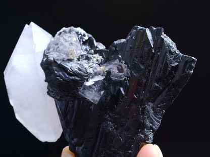 137g Natura Fluorite & Wolframite & Crystal Mineral Specimen/Yaogangxian China