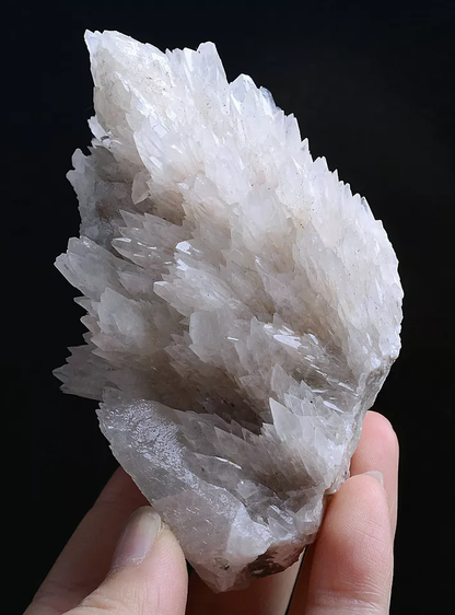 257g Natural Complete “Angel Wings” White Calcite Mineral Specimen/China