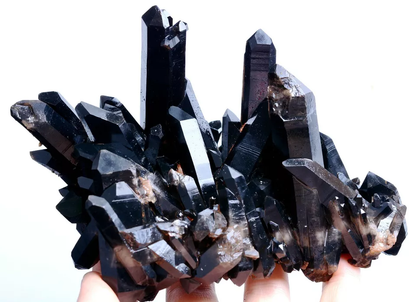 554g Natural Rare Smoky & Black QUARTZ Crystal Cluster Mineral Specimen