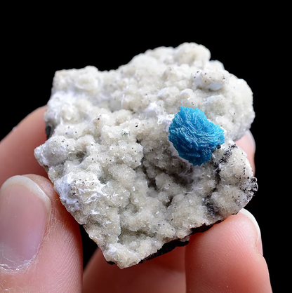 18.0g Natural CAVANSITE & ZEOLITE Crystal Symbiotic Mineral Specimen/ India