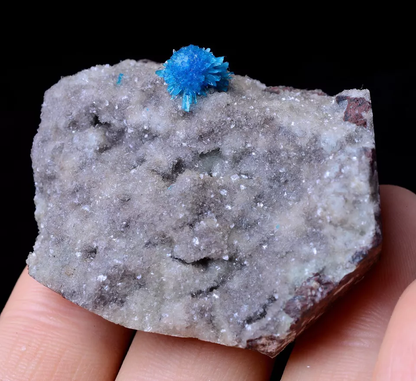 44.09g Natural CAVANSITE & ZEOLITE Crystal Symbiotic Mineral Specimen/India