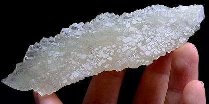 104.6g Natural Complete White Calcite “Angel Wings” Crystal Mineral  Specimen