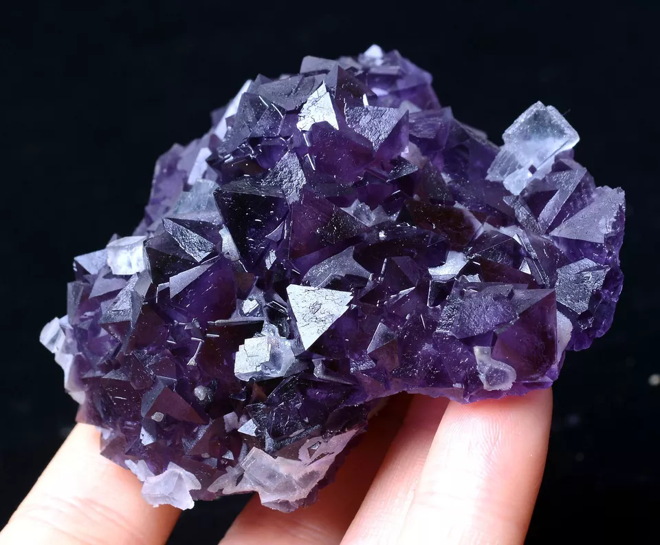 211.68g MUSEUM COLLECTION NEWLY DISCOVERED RARE PURPLE FLUORITE MINERAL SAMPLES