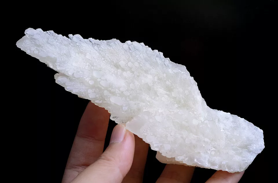 284g Natural Complete “Angel Wings” White Calcite Mineral Specimen/China