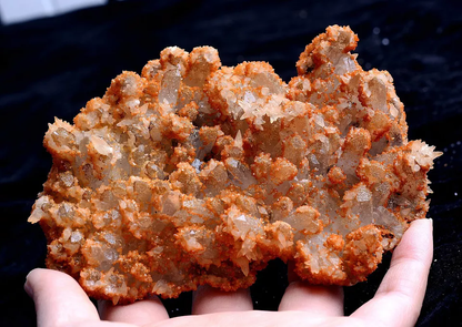 360g Natural Rootless Red CRYSTAL Calcite Mineral Specimen/Inner Mongolia China