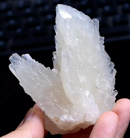 125.0g Natural  Beautiful “Angel Wings” White Calcite Mineral Specimen/China