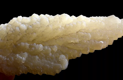 247g Natural Complete “Angel Wings” Yellow Calcite Mineral Specimen/ China