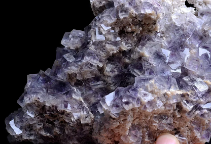 855g TRANSPARENT PHANTOM PURPLE FLUORITE CRYSTAL MINERAL SPECIMEN/ YaoGangXian