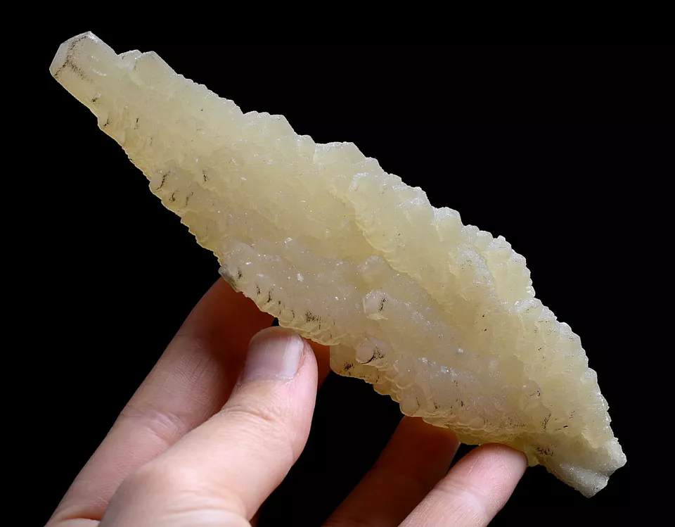 247g Natural Complete “Angel Wings” Yellow Calcite Mineral Specimen/ China