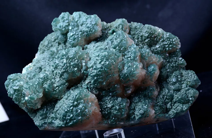 1821g Newly Discovered Green Apophyllite CRYSTAL CLUSTER Mineral Specimen