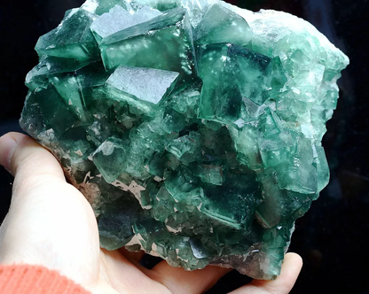 NATURAL Beauty Green Cubic FLUORITE Crystal Cluster Mineral Specimen 1178.g