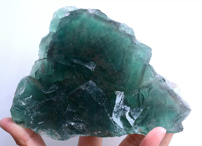 1256g Natural Phantom Window Green Cubic Fluorite CLUSTER Mineral  Specimen