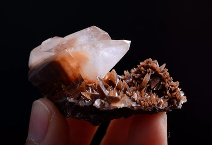 26g Newly Natural Swallow-Tail Twin Crystal Calcite Mineral Specimen/China