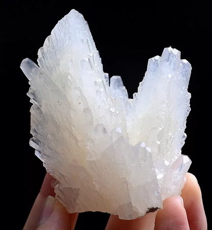 125.0g Natural  Beautiful “Angel Wings” White Calcite Mineral Specimen/China