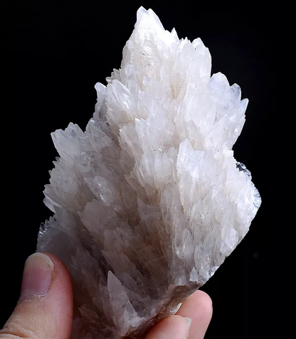 257g Natural Complete “Angel Wings” White Calcite Mineral Specimen/China