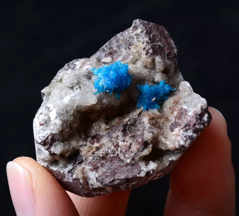 42.5g Natural CAVANSITE & ZEOLITE Crystal Symbiotic Mineral Specimen/India