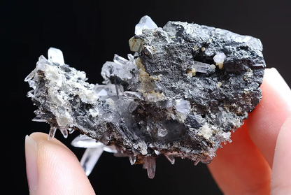 30g Natura Arsenopyrite & Crystal Cluster Mineral Specimen/Yaogangxian China