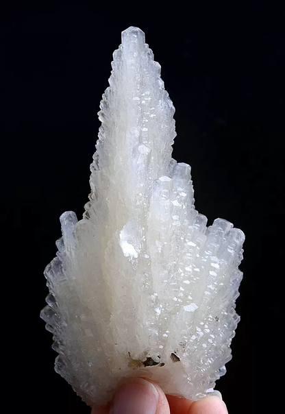 110gNatural Complete “Angel Wings” White Calcite Crystal Mineral Specimen/China