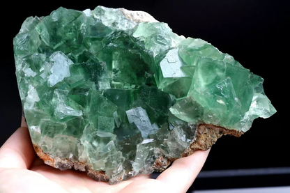 878.5g NATURAL Beauty Green Cubic FLUORITE Crystal Mineral Specimen/China