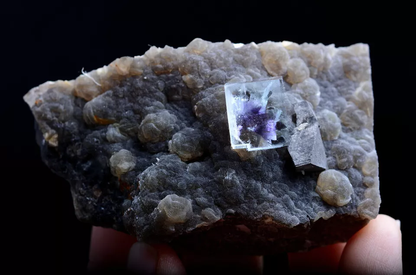 93g Natural Purple FLUORITE & Arsenopyrite Mineral Specimen/Yaogangxian  China