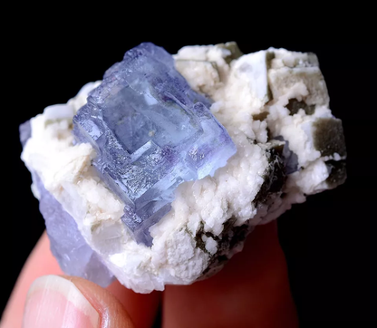 25g RANSPARENT GEM LEVEL Ladder-Like PURPLE FLUORITE CRYSTAL MINERAL  SPECIMEN