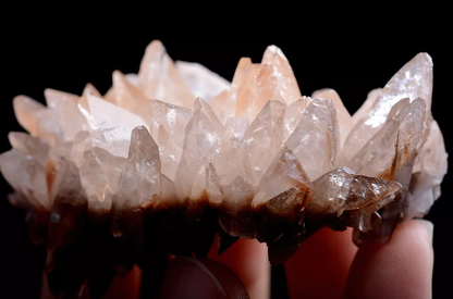 61g Newly Natural Swallow-Tail Twin Crystal Calcite Mineral Specimen/China