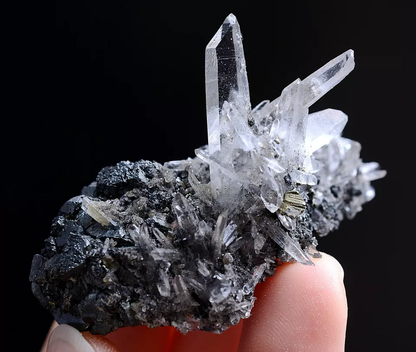 30g Natura Arsenopyrite & Crystal Cluster Mineral Specimen/Yaogangxian China