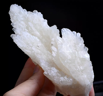 284g Natural Complete “Angel Wings” White Calcite Mineral Specimen/China